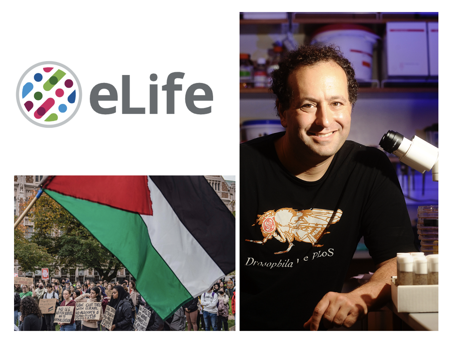 elife تقيل مدير تحريرها لدعمه الفلسطينيين في غزة!